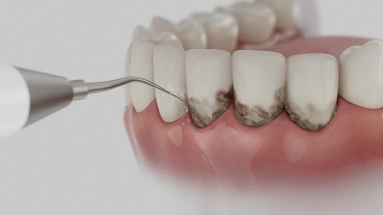 Reliable Dental contractor in Yell County County, AR by Dentist Open Now